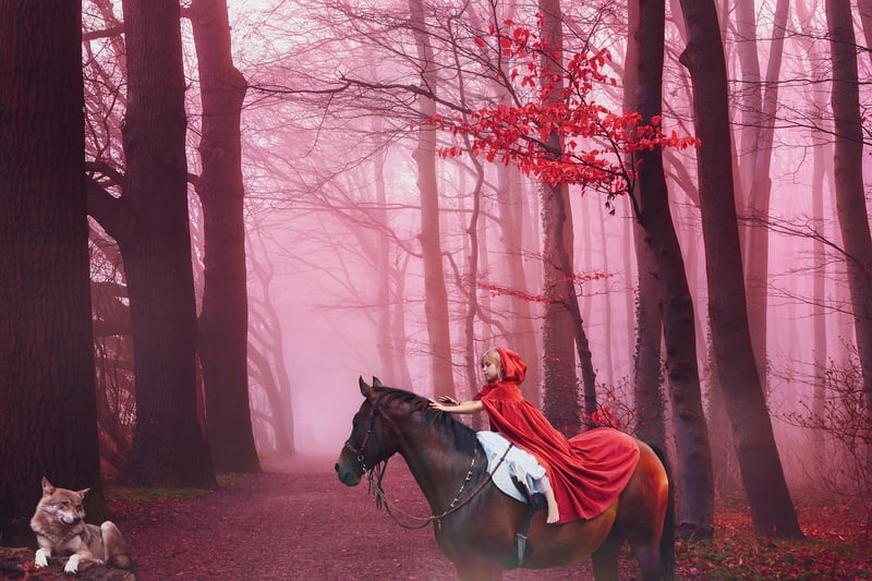 Enchanted Forest